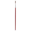 Picture of JUNIOR PAINTBRUSH ROUND